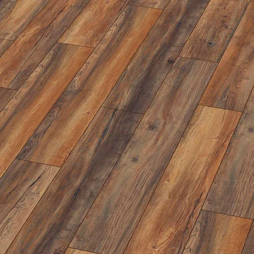 8570 (3570) Дуб Болотный