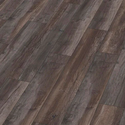 8573 (3573) Дуб Черный