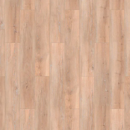 504466001 Ясень жёлтый