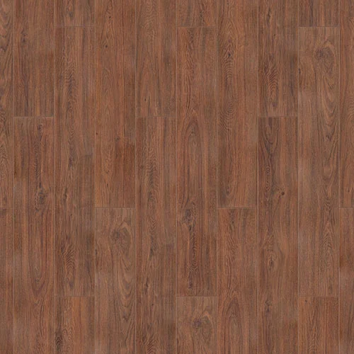 504464002 Дуб коричневый