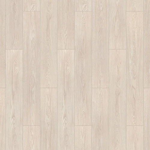 50446403 Дуб светлый