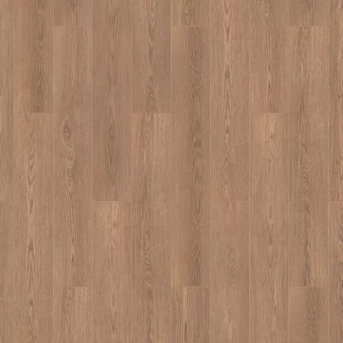 504426053 Фауст