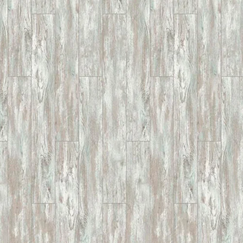  Дуб Форторе