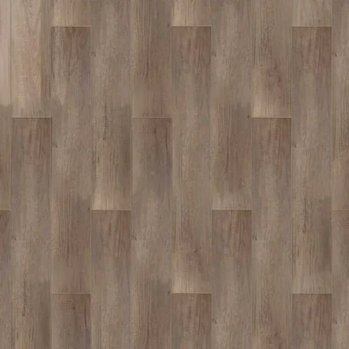  Дуб Маверик