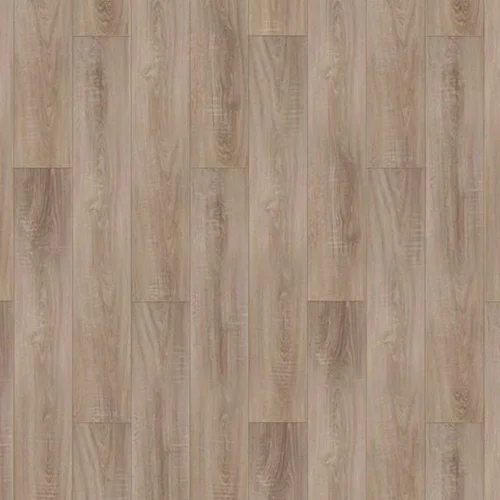  Дуб Прованс