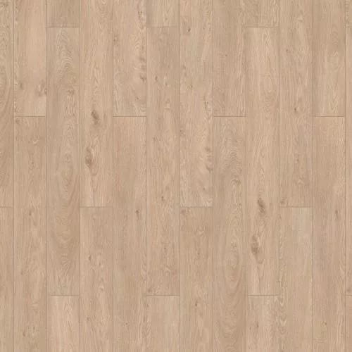  Дуб Туманный