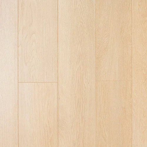 CXI146 Дуб марципановый