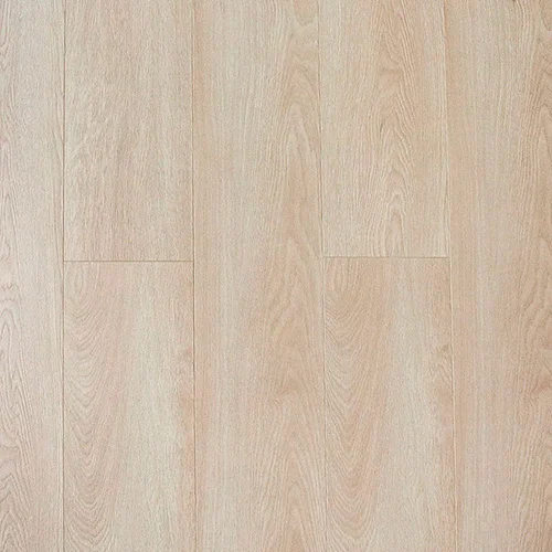 CXI147 Дуб миндальный