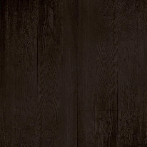 CXI148 Дуб цейлонский