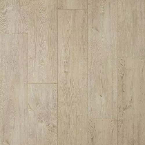 LFR135 Дуб Скандинавский