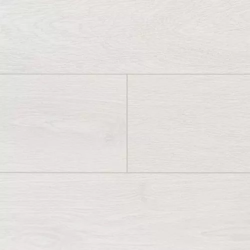 1054 Дуб варио снежный