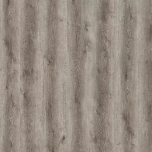 724 Дуб Румелия