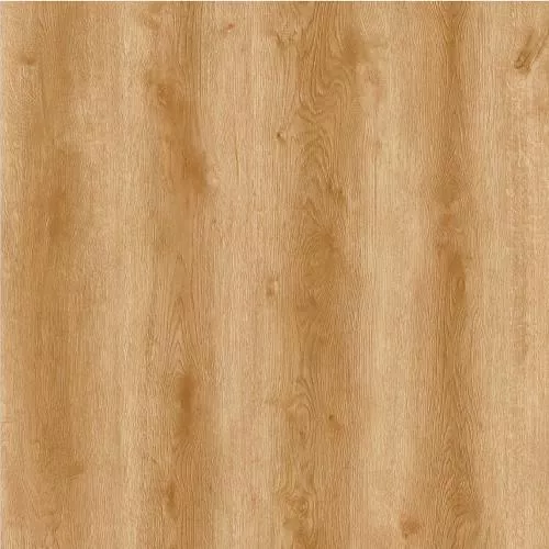 728 Дуб Анадолу