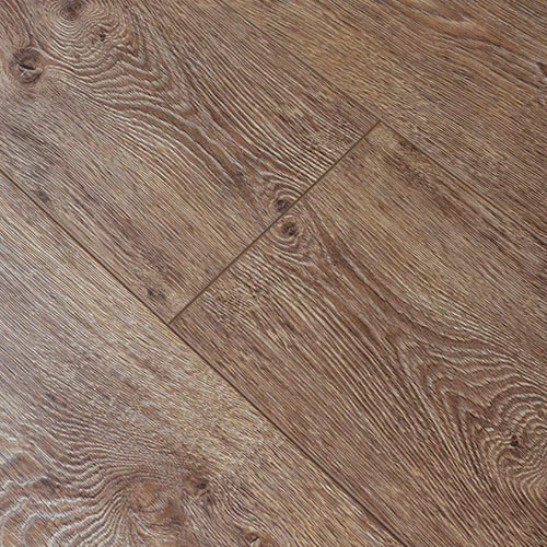 A24001 Дуб Берген