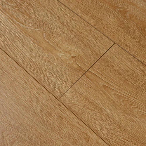 A24009 Дуб Авелгем