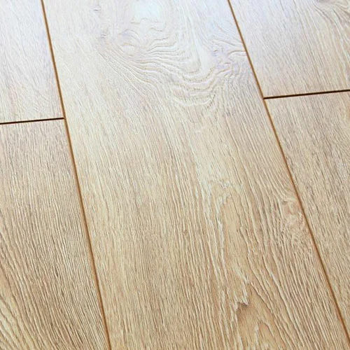 А24027 Дуб Лафоре