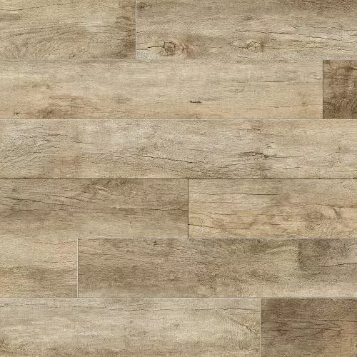  Дуб Брента Песочный