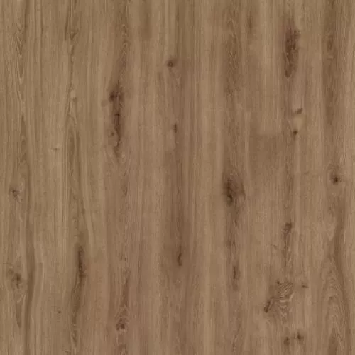  Дуб Ломбардия