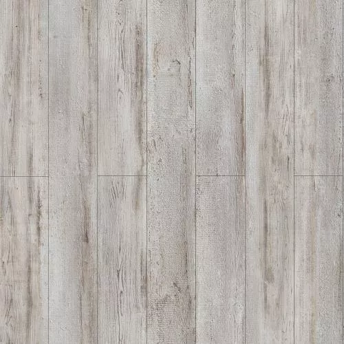  Сосна Тронто