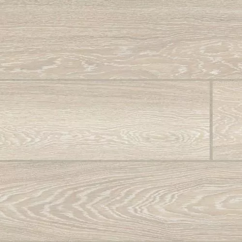  Акация зимняя