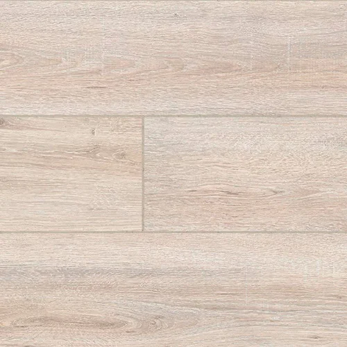  Дуб Бора северный