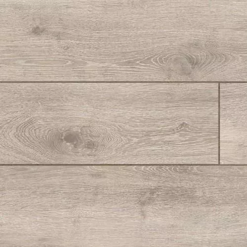  Дуб Нортер серый