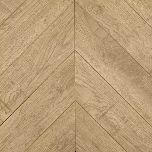 CH 153 2 Дуб Ратон