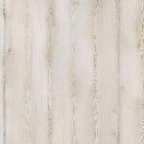  Сосна Кадьяк