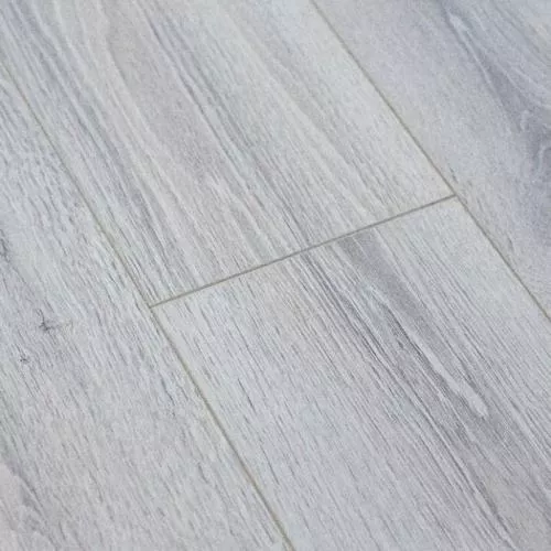  Сосна Мичиган