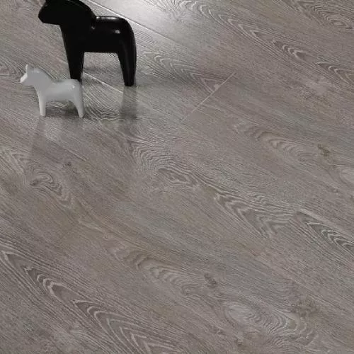 70548 Дуб Чилоэ