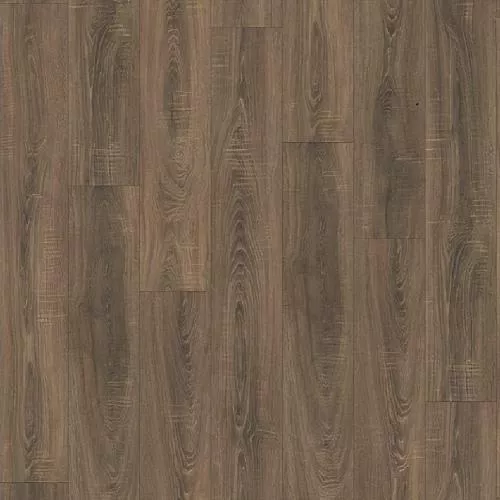 H2187 Дуб Орвието