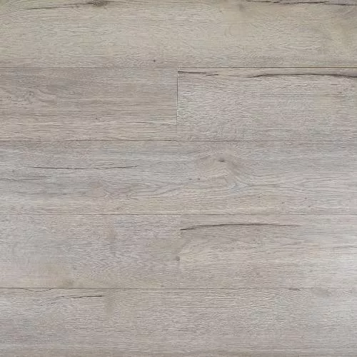  Дуб Градиенто