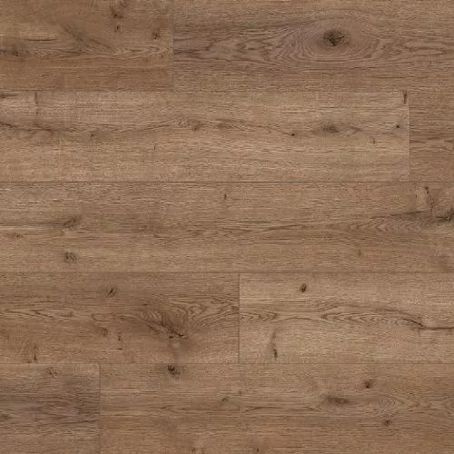  Дуб Арно Темный