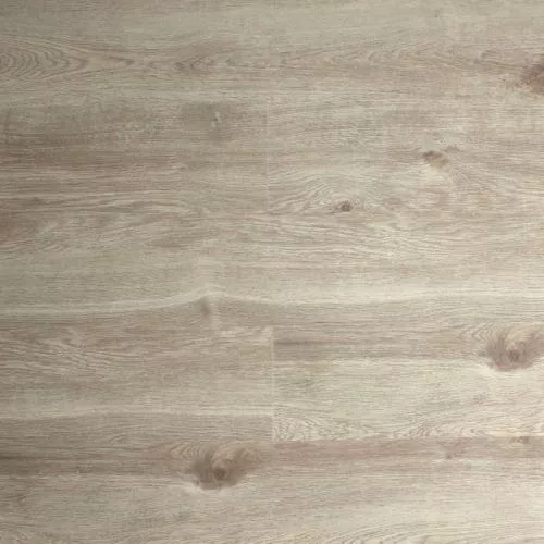  Дуб Левантский