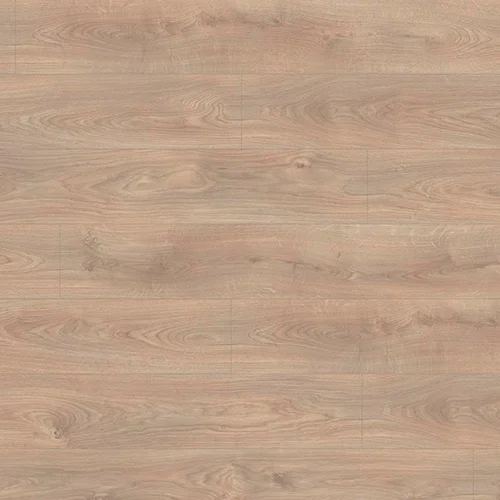 2637 Дуб Анува