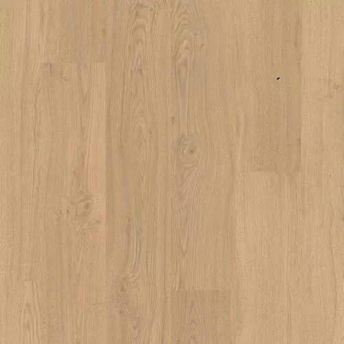 2974 Дуб Реколета