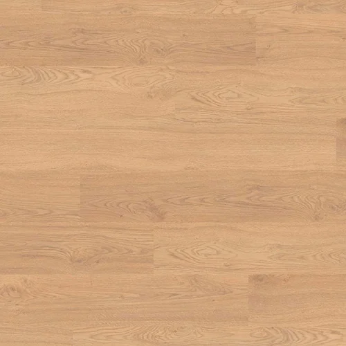 2974 Дуб Реколета