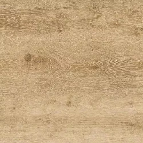  Дуб Эверест