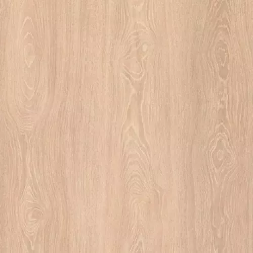  Дуб Кремовый