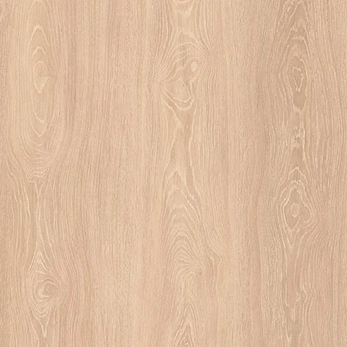  Дуб Кремовый