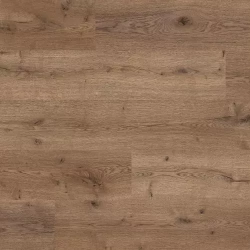  Дуб Тичино Темный