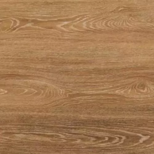  Дуб Торанга