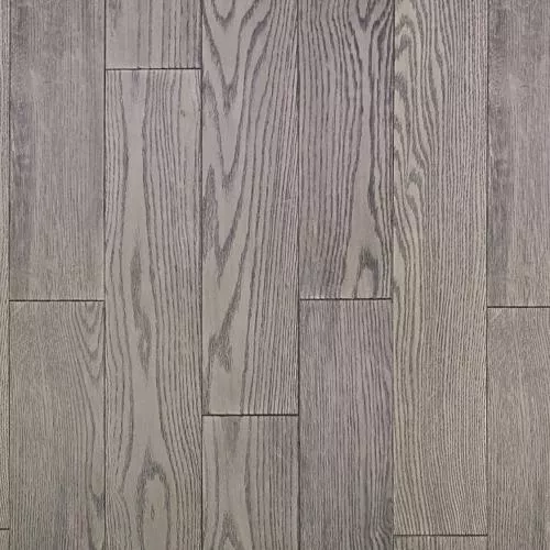  Дуб Балтика