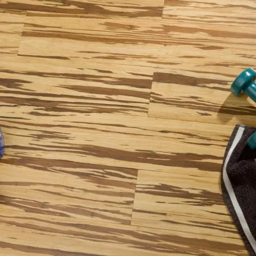 АМ 0019 Зебра Click