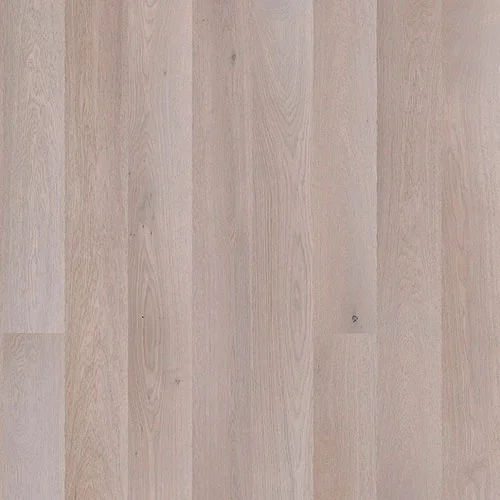  Дуб Marzipan Muffin