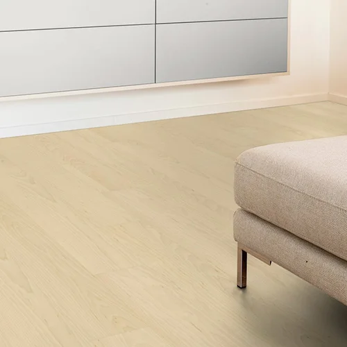 MA0AN0 Клен Монтана