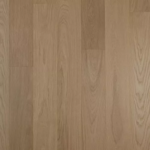  Дуб Натур Жасмин лак