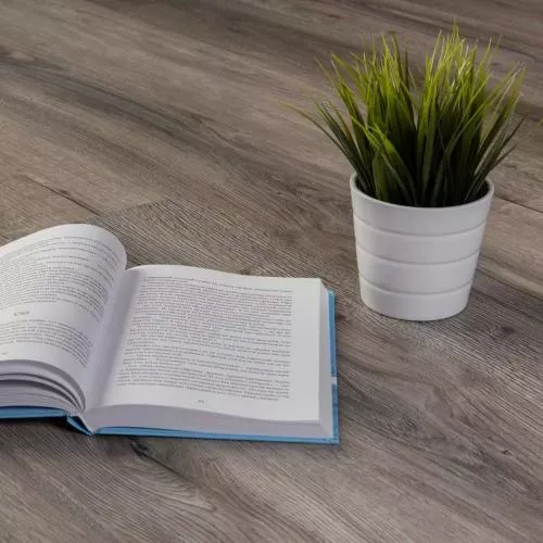 WS-004 Дуб Феникс