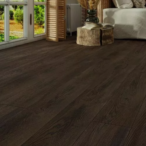 WS-007 Дуб Диона