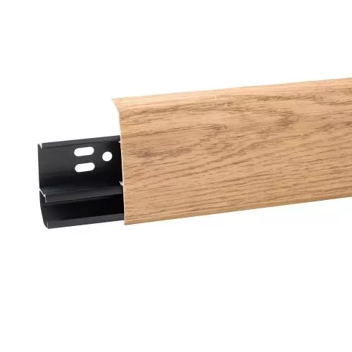  Дуб Изысканный